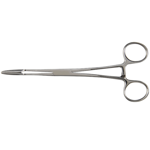 Holding Instruments Stainless Steel Sponge Holder Forcep, Size/Dimension: 8  Inch